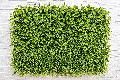 《孤岛惊魂6》成美国和加拿大10月下载量最多的PS5游戏